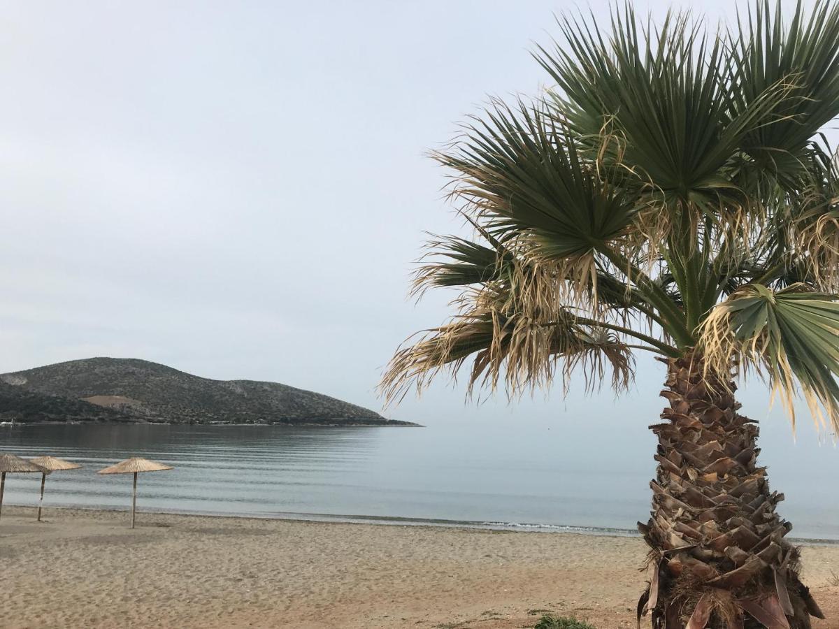 Cosy Studio 2 Minutes Walking From The Beach Anavyssos Dış mekan fotoğraf